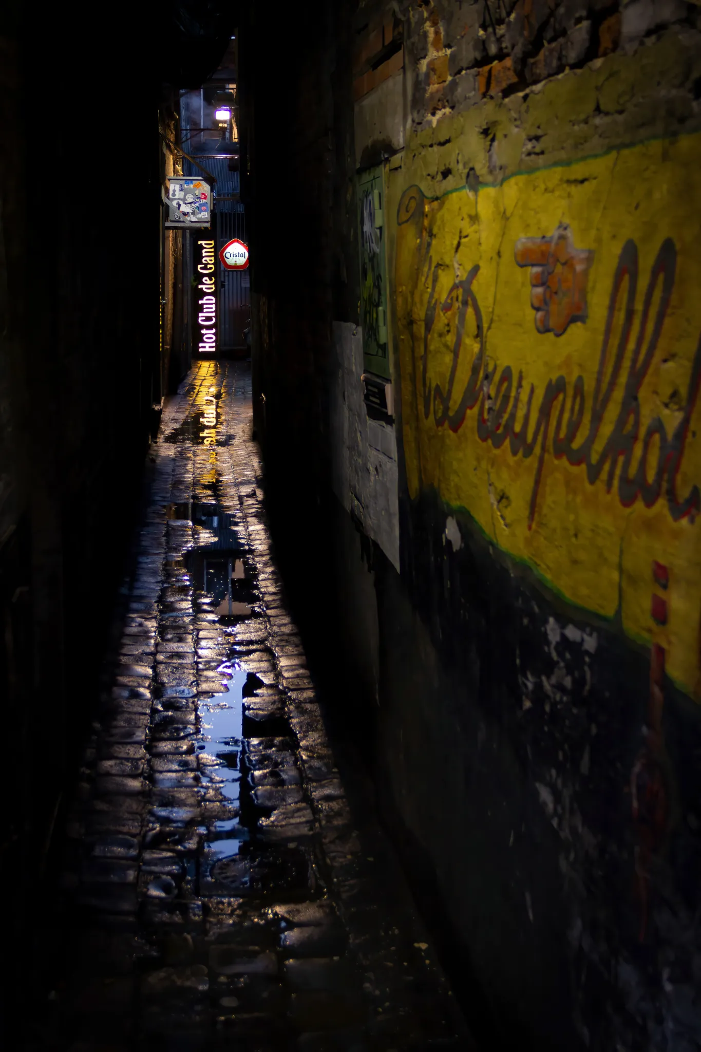 portfolio-23.webp