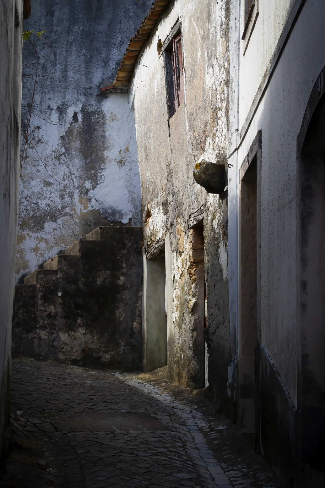 portfolio-34.webp