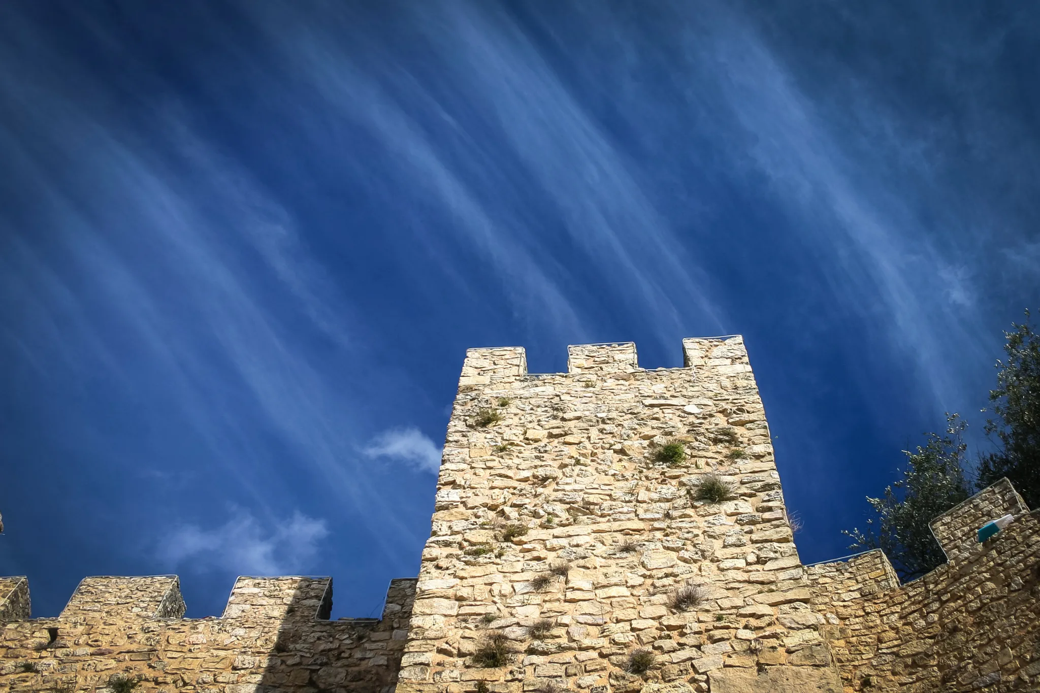 portfolio-40.webp